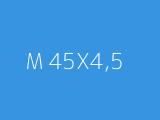 M 45X4,5 